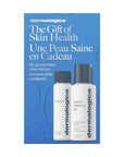 THE GO-ANYWHERE CLEAN SKIN SET
